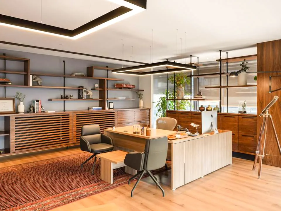 Open office space with modern desks, ergonomic chairs, and large windows that allow natural light to enhance productivity.